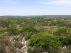 Summit Dr. (3)